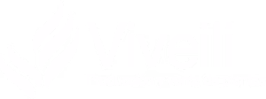 Viveili, Viveros Ilicitanos